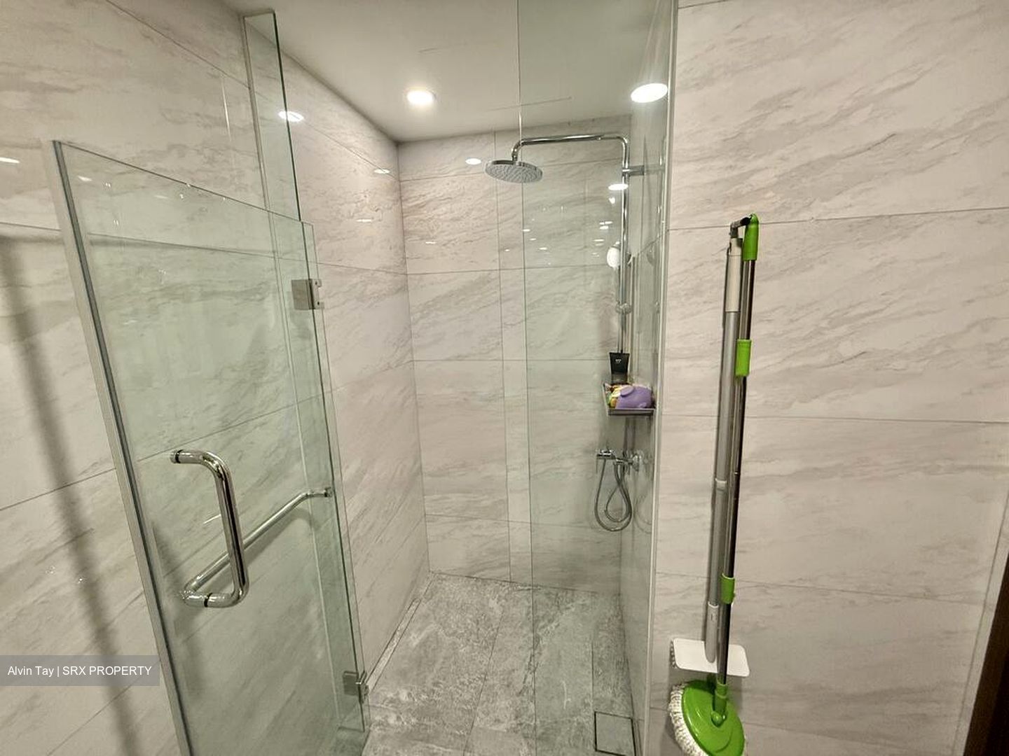 Normanton Park (D5), Apartment #453723651